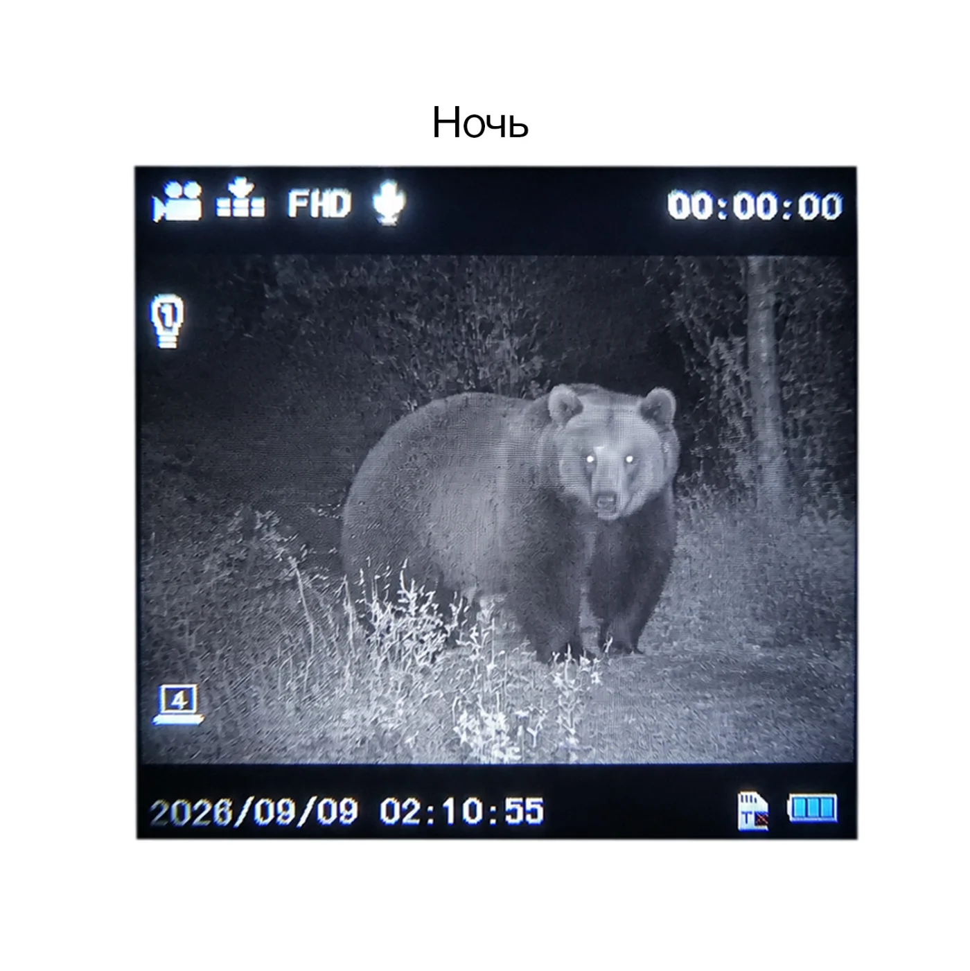Монокуляр ночного видения Veber DigiView NM-02 цифровой