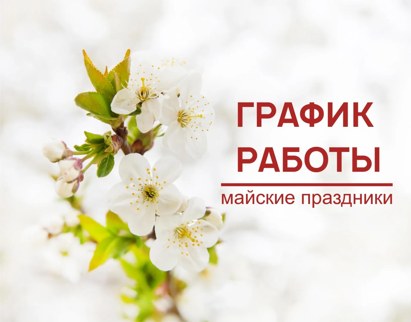 График работы в майские праздники 2025