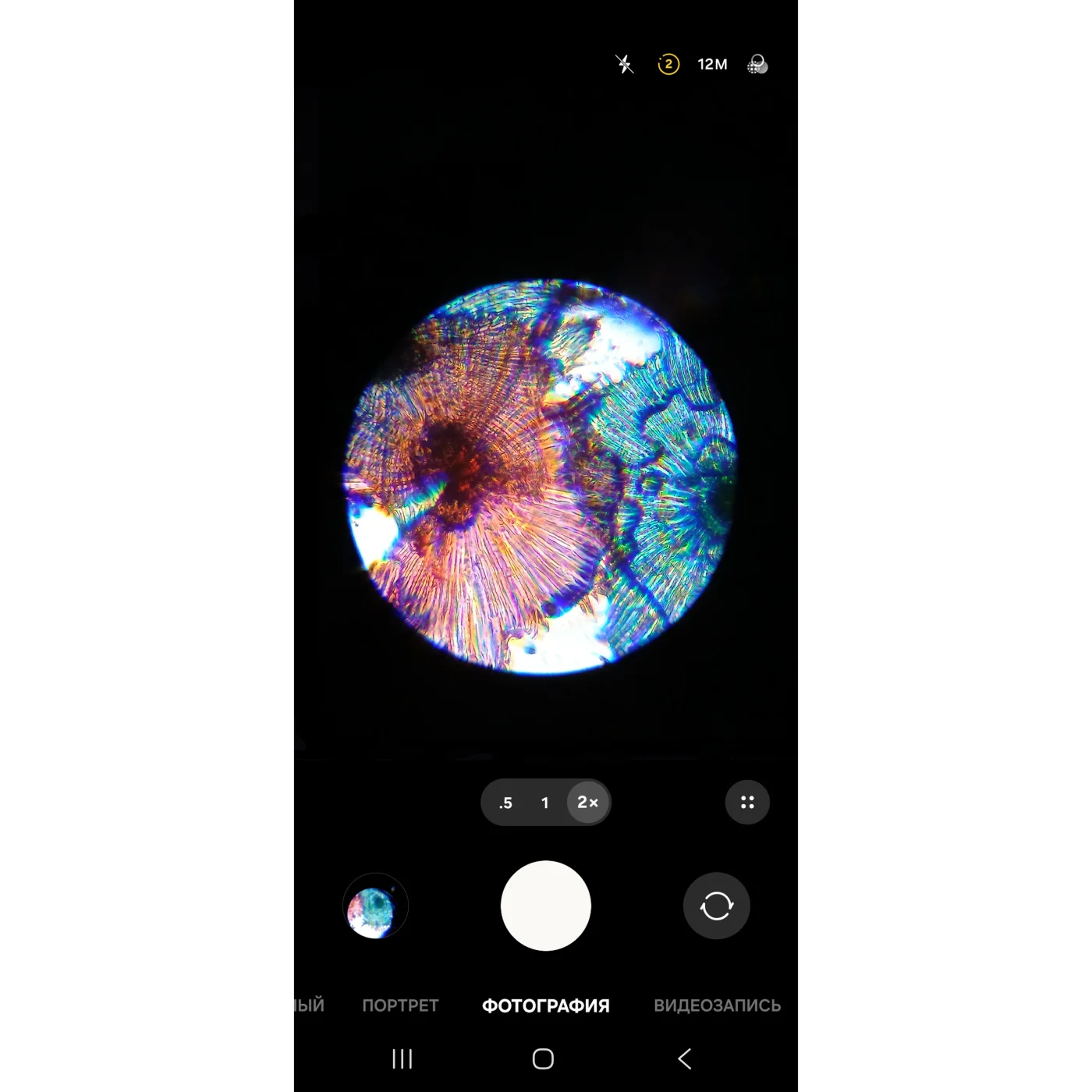 Микроскоп Микромед 100x-1200x в кейсе с адаптером для смартфона