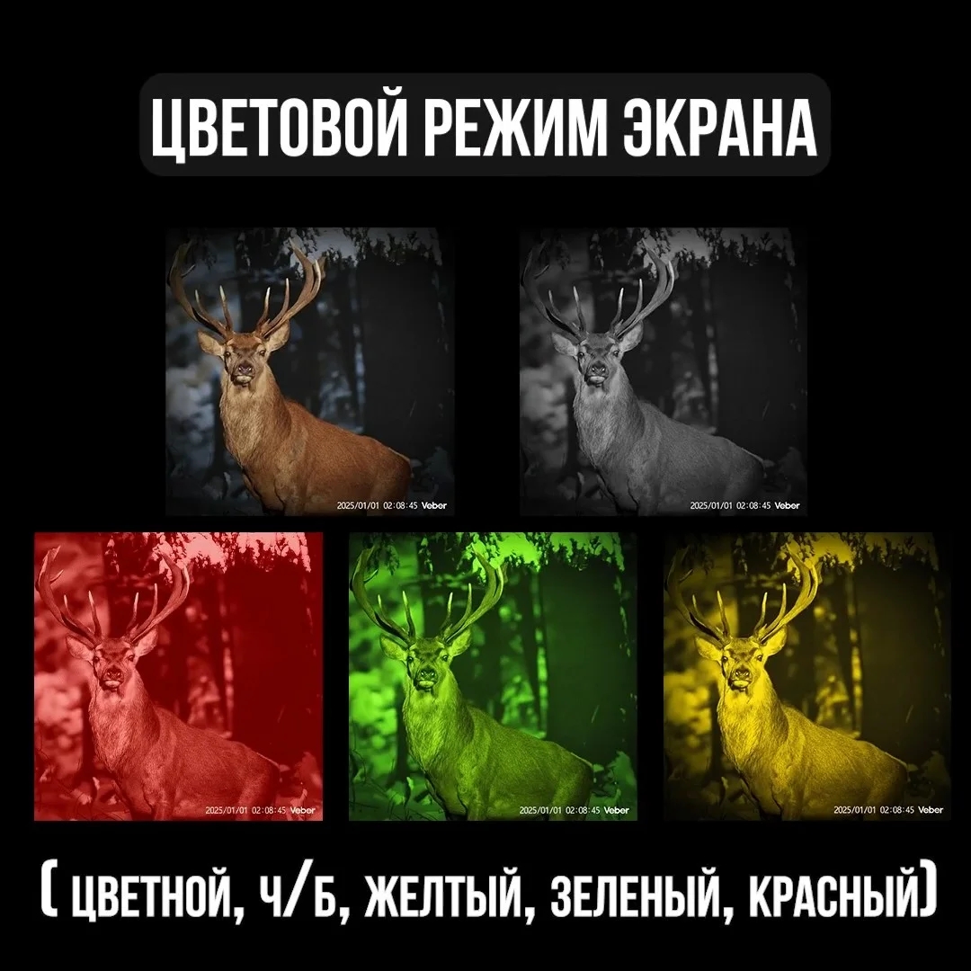 Видео