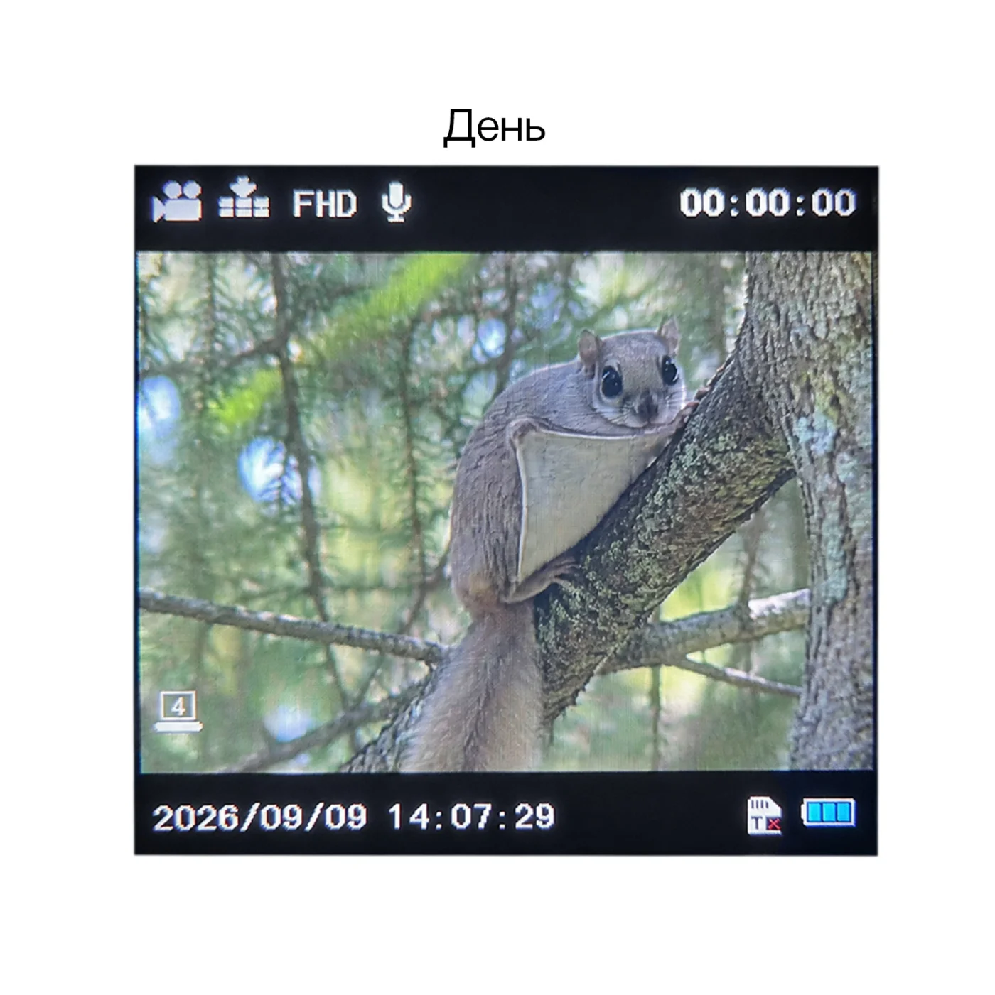 Монокуляр ночного видения Veber DigiView NM-02 цифровой