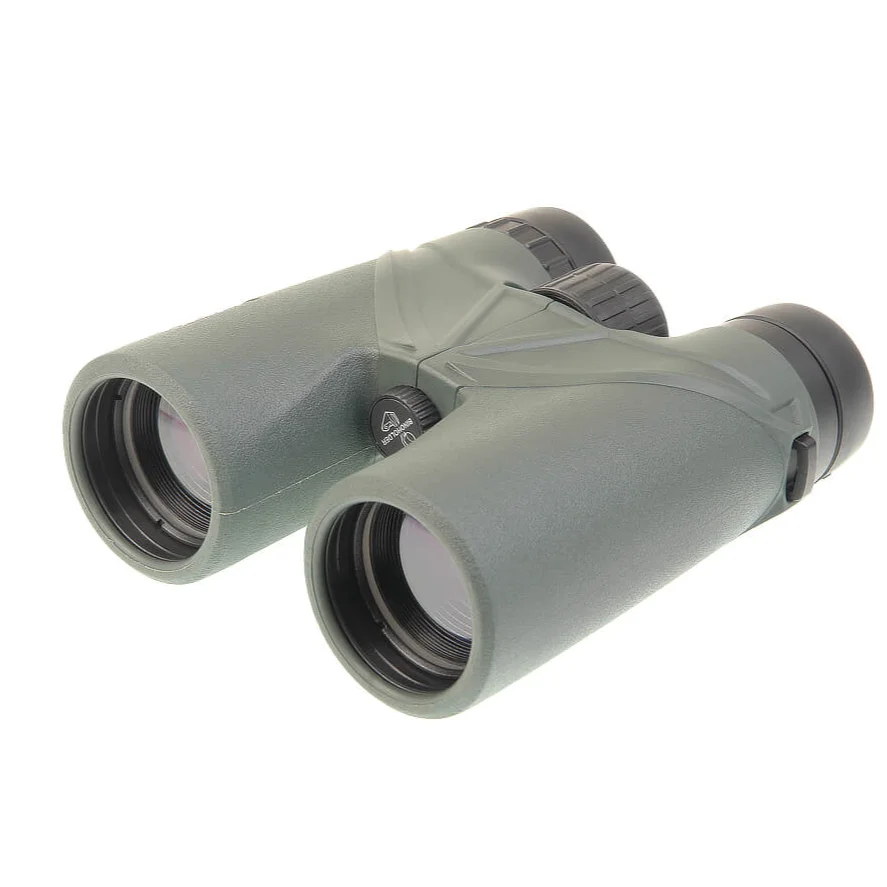 st_birdwatch_3.png