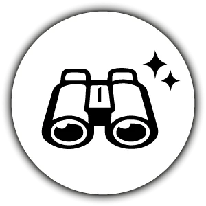 st_veber_silver_line_ii_5.png