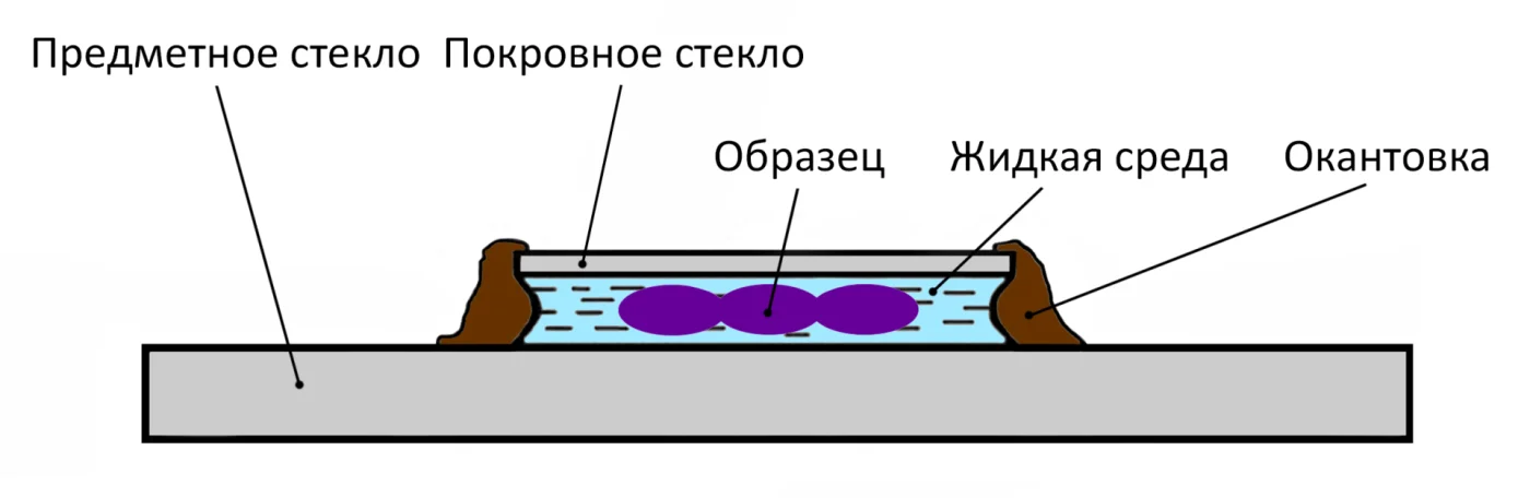 050-Схема препарата