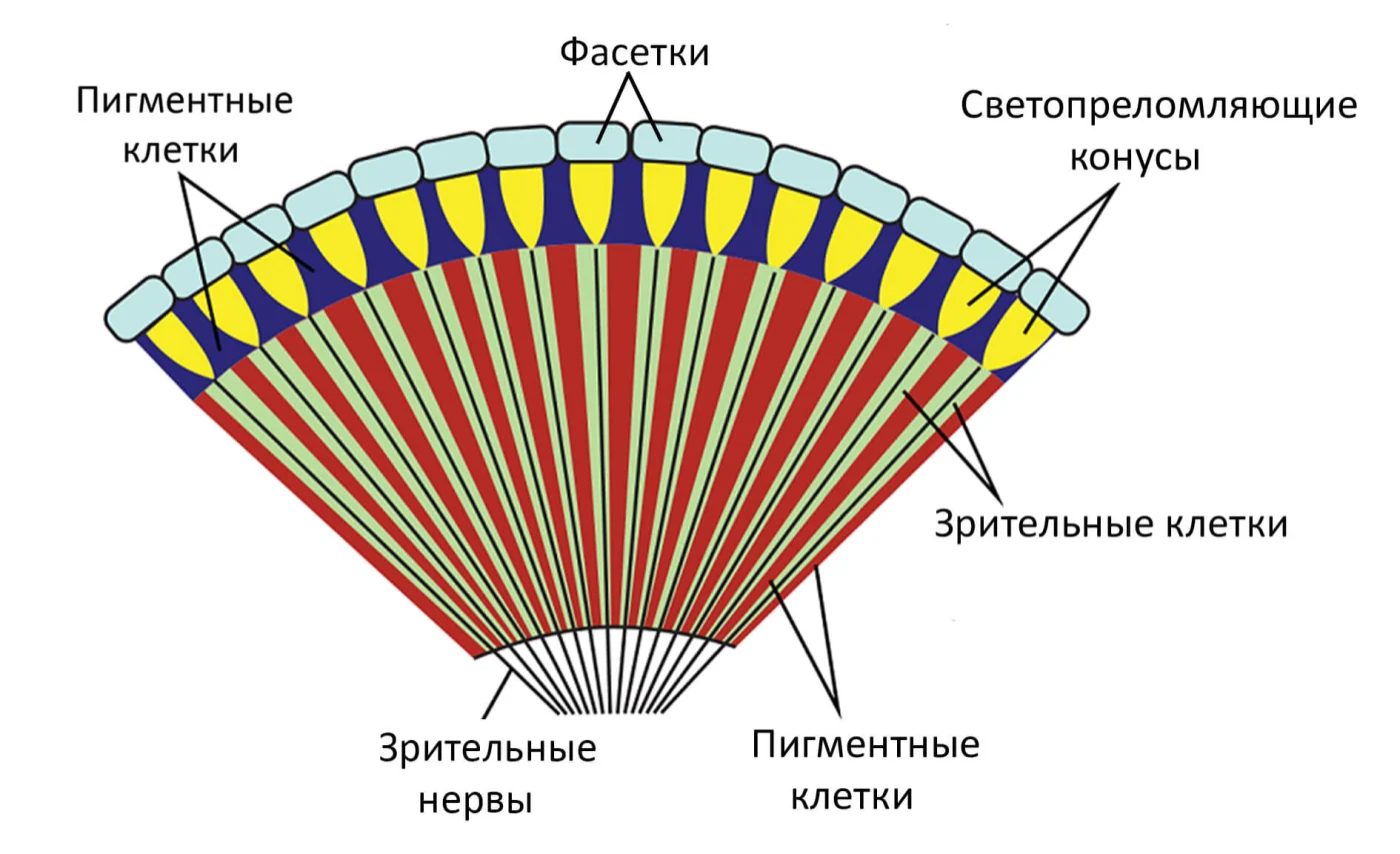 2 - Схема.jpg