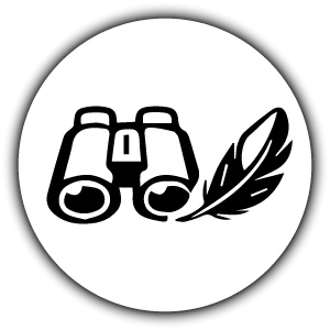 st_veber_silver_line_ii_3.png