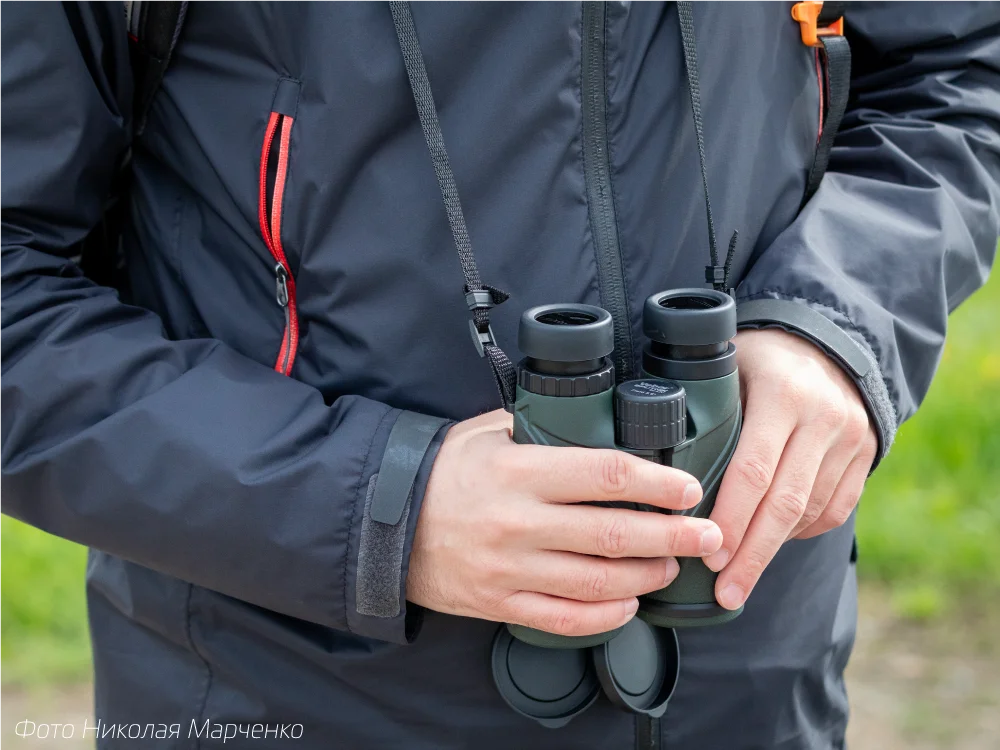st_birdwatch_1.png