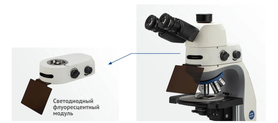 фрагмент7.jpg
