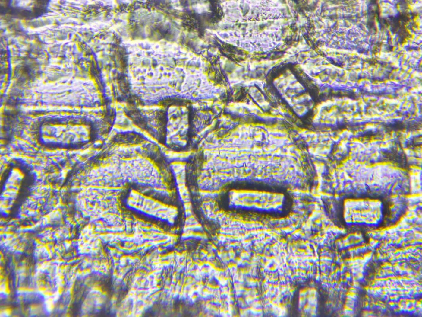 image1-2.jpeg image1-2.jpeg