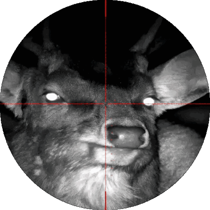 Круглый дисплей Veber Rapid с изображением цели в реальном времени