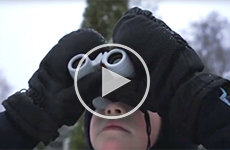 Veber Эврика: правильный детский бинокль