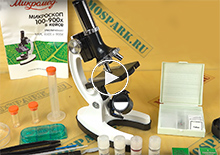 Как выбрать микроскоп