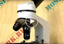 Микроскоп для школьника или студента - Микромед С-11