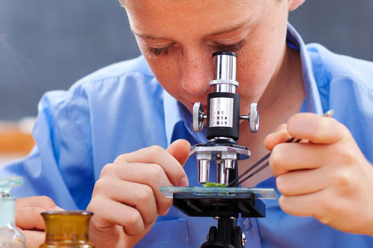 Как ухаживать за микроскопом: правила и рекомендации