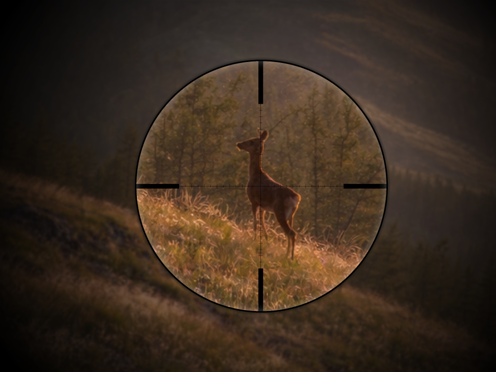 Что лучше для охоты: оптический или коллиматорный прицел?