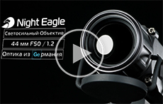 Тепловизионный прицел Veber Night Eagle R50/384