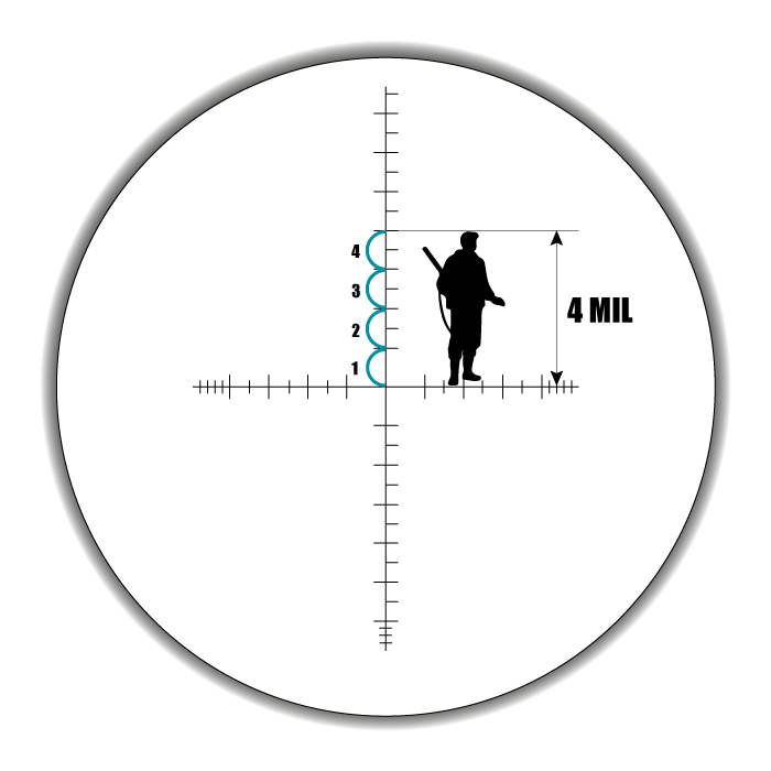 image12.png