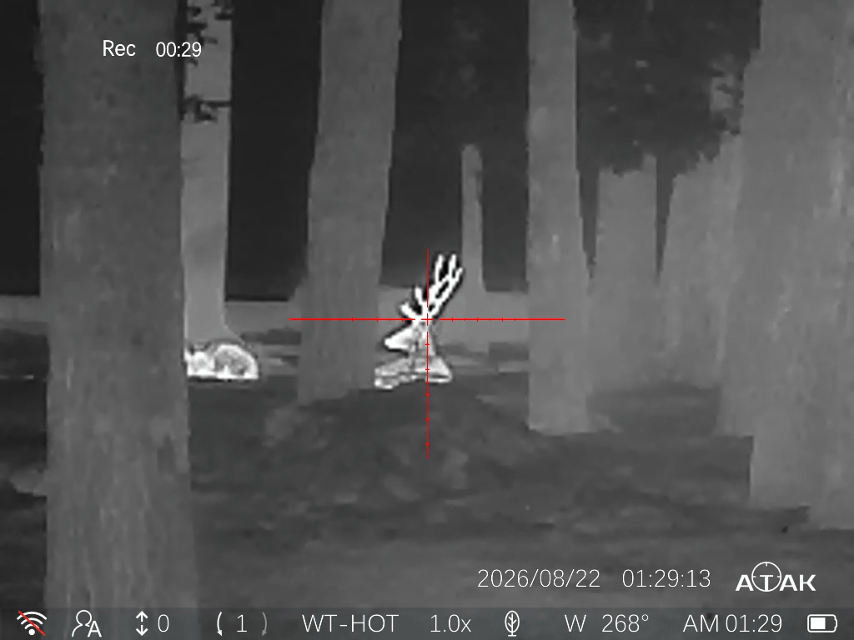 atak_ot_22_25_uvel.gif