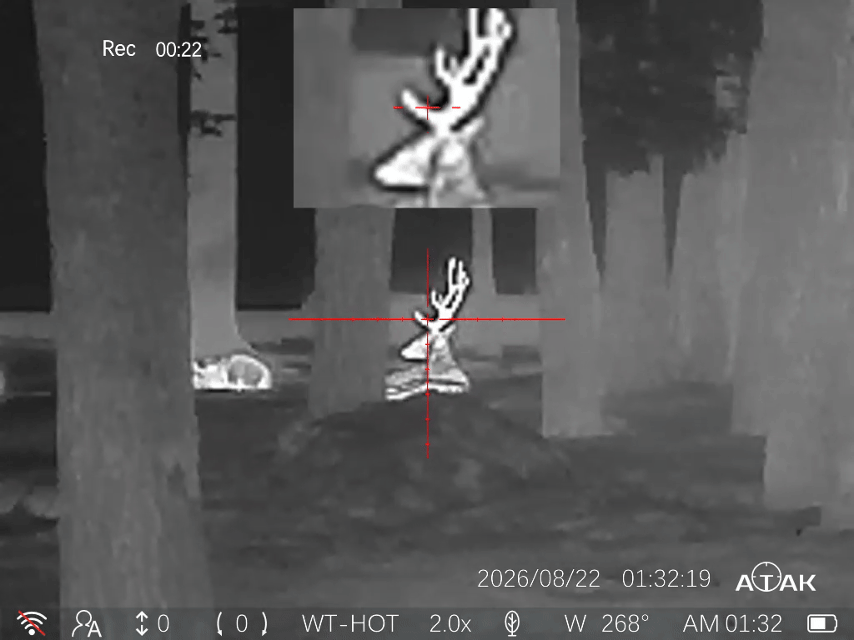atak_ot_22_25_pip.gif