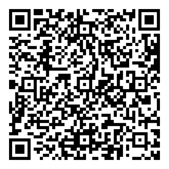 Roadcam для Android.png