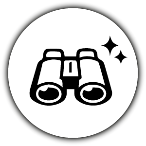 st_veber_silver_line_ii_5.png