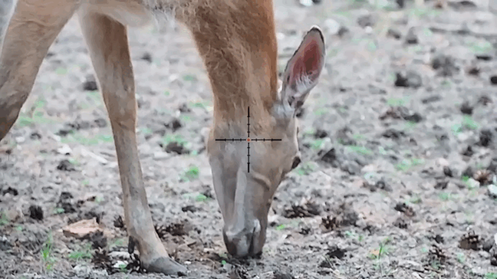 pnv_veber_digitalhunt_m25_5.gif