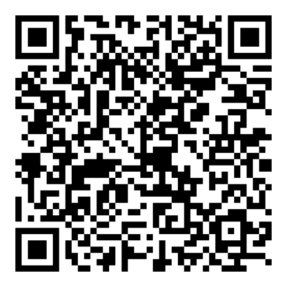 Roadcam для IOS.png