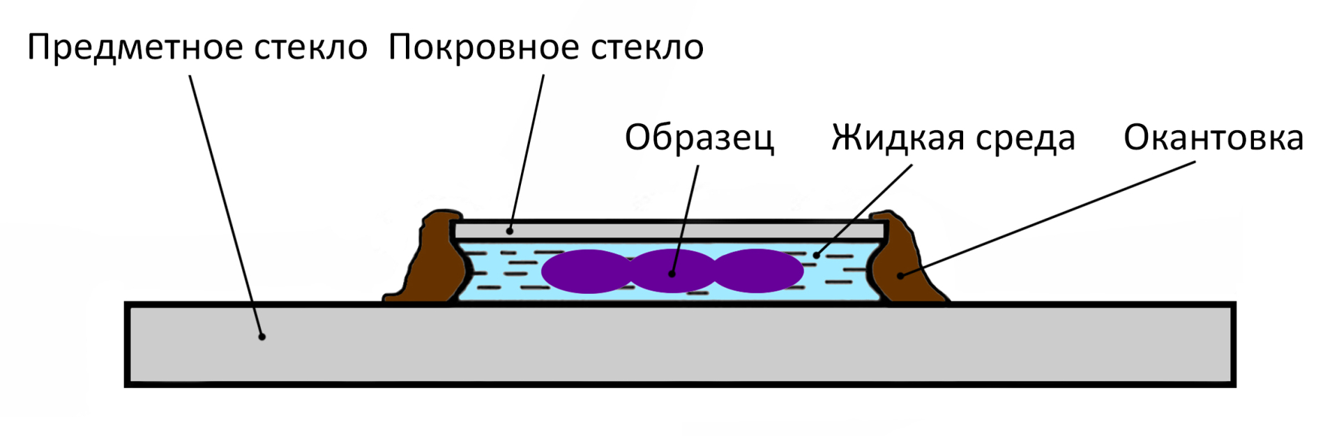 050-Схема препарата