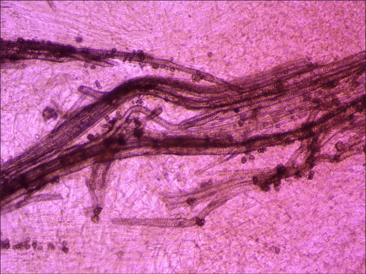 Izobrazhenie-PNG.png Izobrazhenie-PNG.png