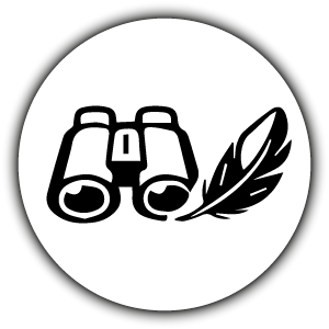 st_veber_silver_line_ii_3.png