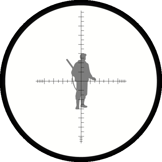 image5.gif