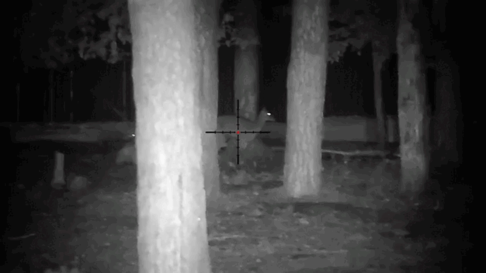pnv_veber_digitalhunt_m25_6.gif