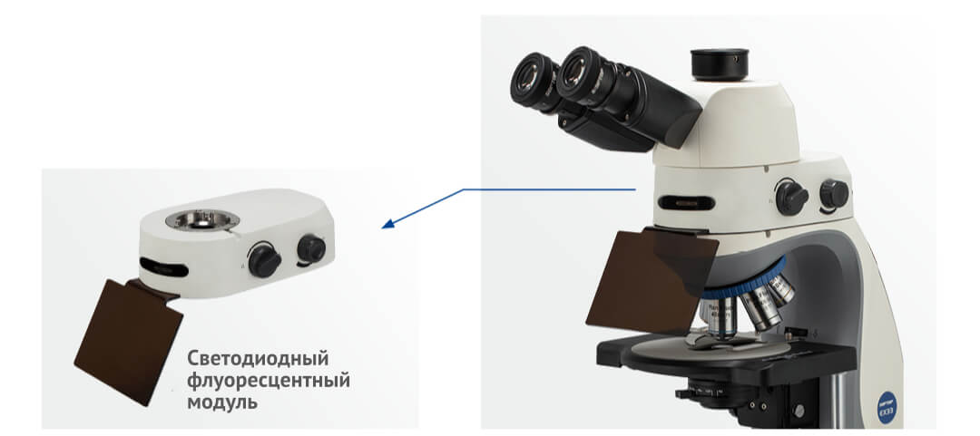фрагмент7.jpg