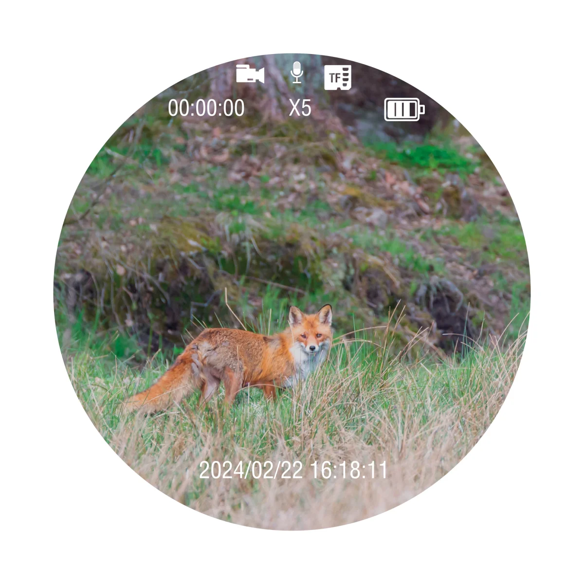 Бинокль ночного видения на шлем Veber DigiView NB-01HM цифровой