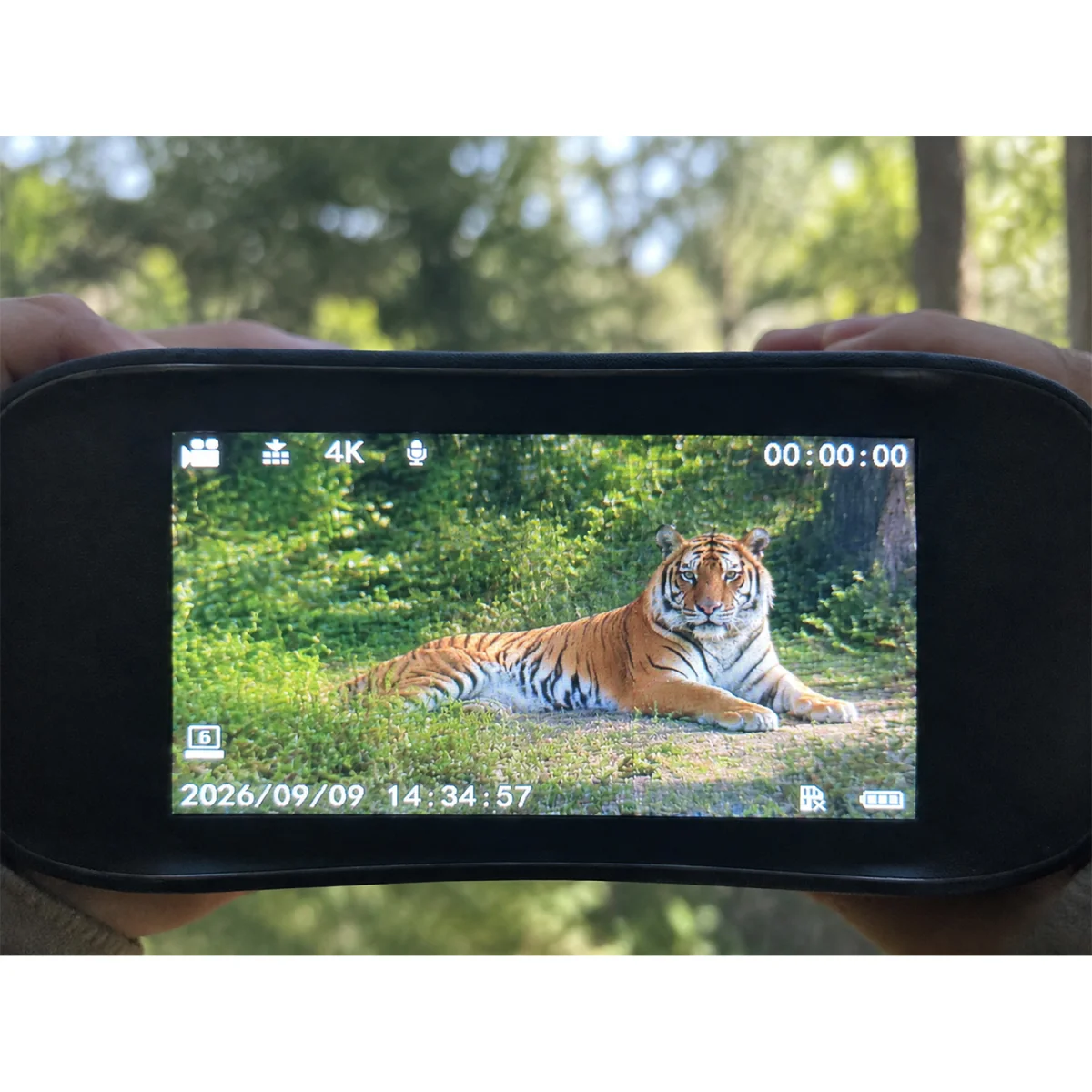 Бинокль ночного видения Veber DigiView NB-04 RF цифровой с дальномером