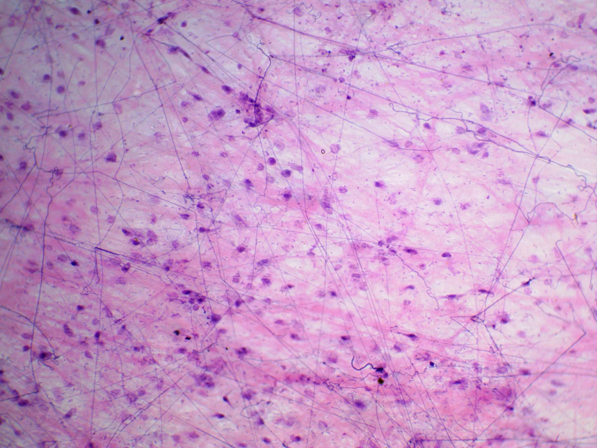 Камера ToupCam UCMOS05100KPA