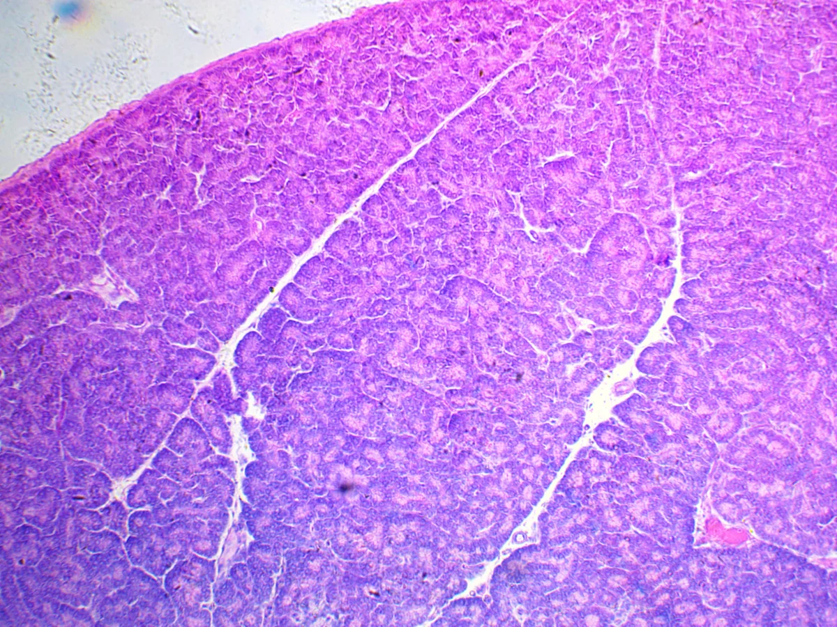 Камера ToupCam UCMOS05100KPA
