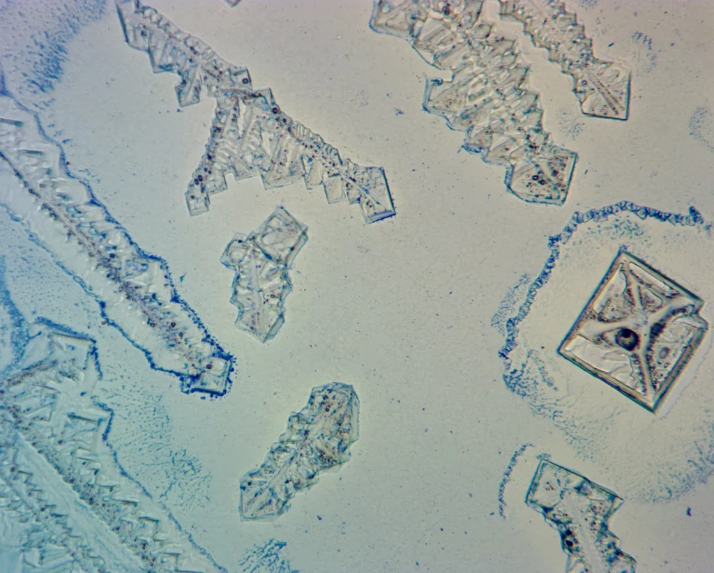 Камера ToupCam UCMOS14000KPA