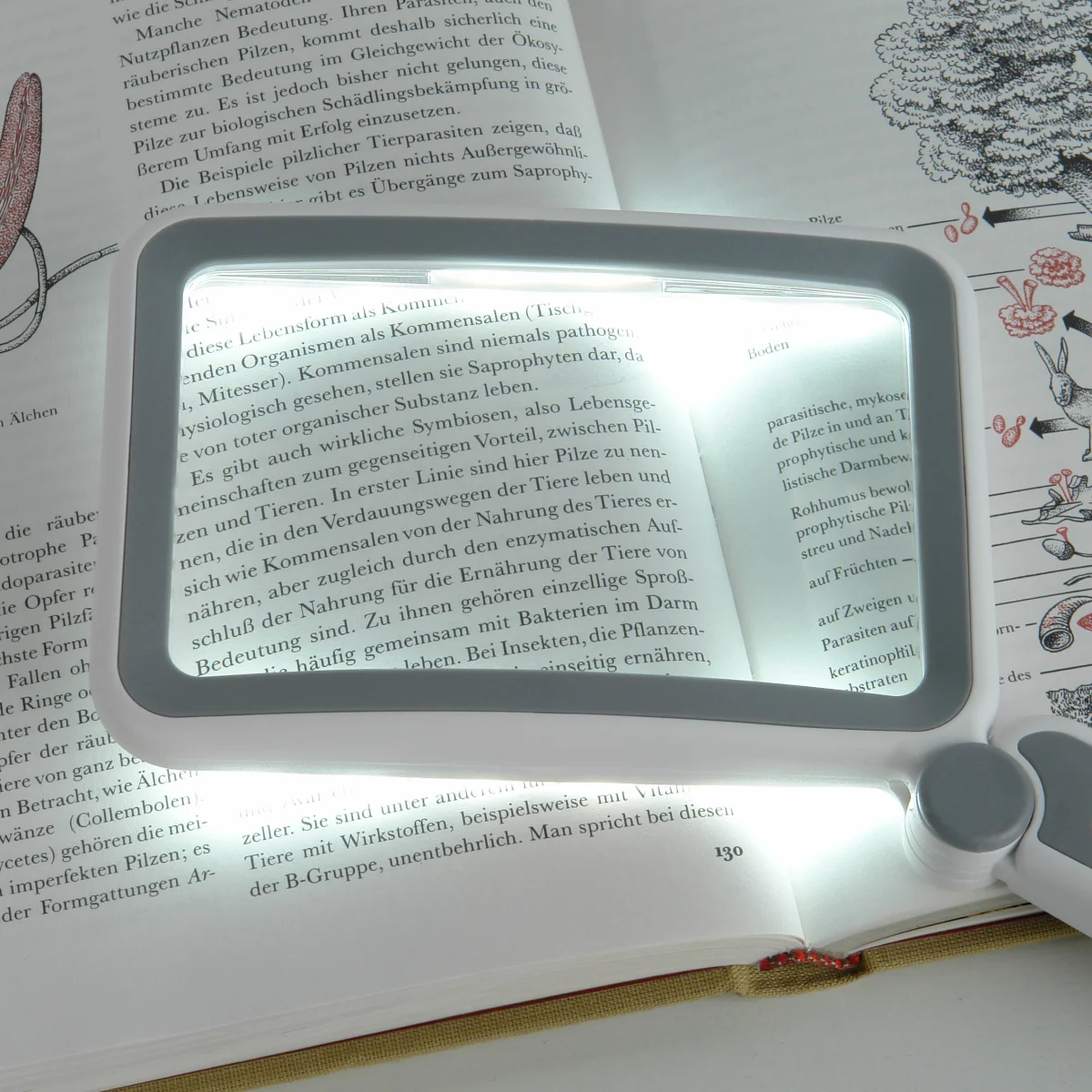 Лупа складная Veber MG12075 с подсветкой