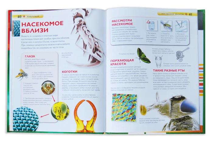 Микромир. Детская энциклопедия Levenhuk