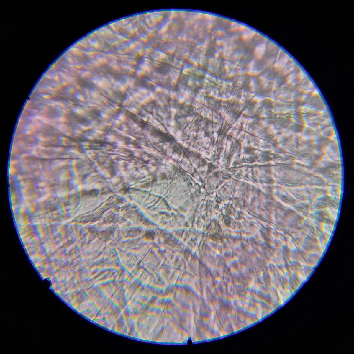 Микроскоп школьный Эврика SMART 40х-1280х в текстильном кейсе