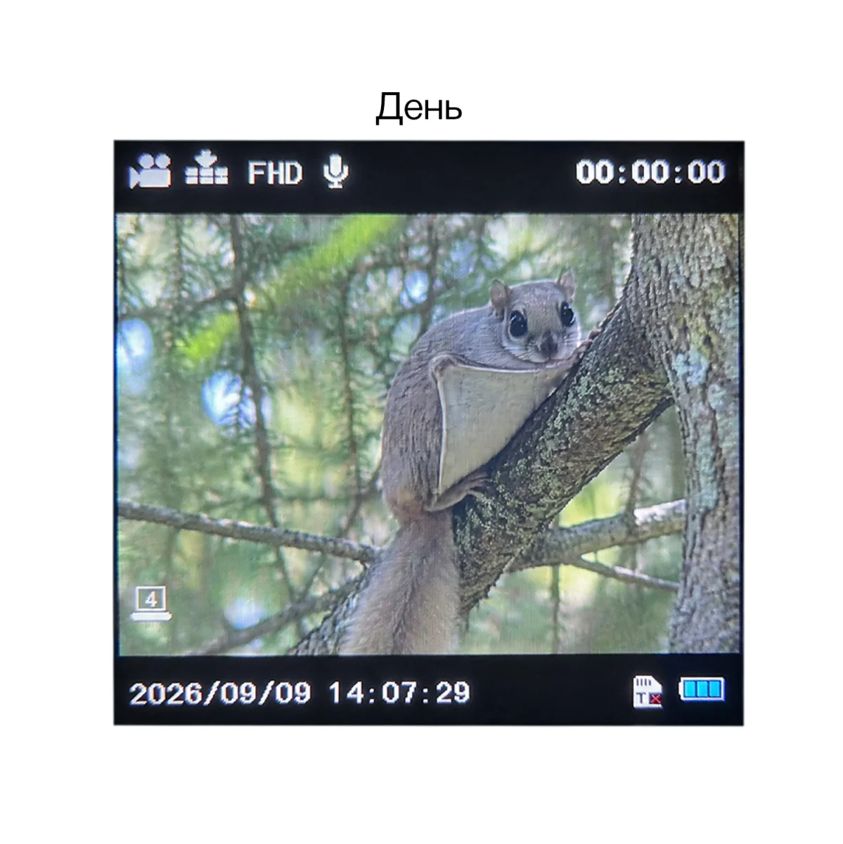Монокуляр ночного видения Veber DigiView NM-02 цифровой