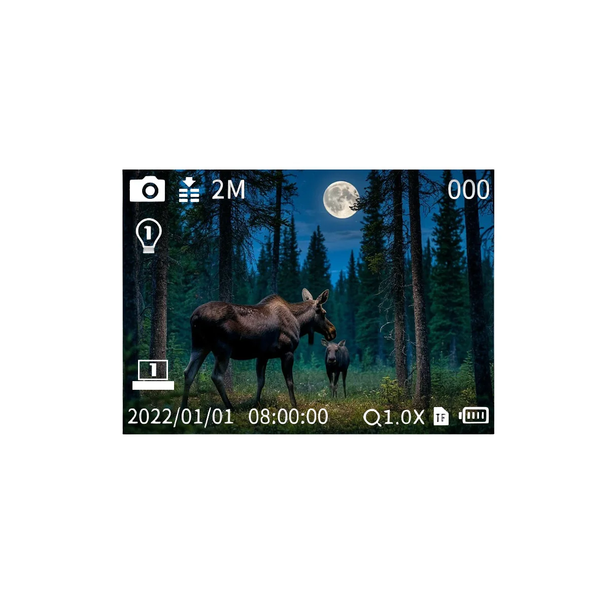 Монокуляр ночного видения Veber DigiView NM-03 цифровой