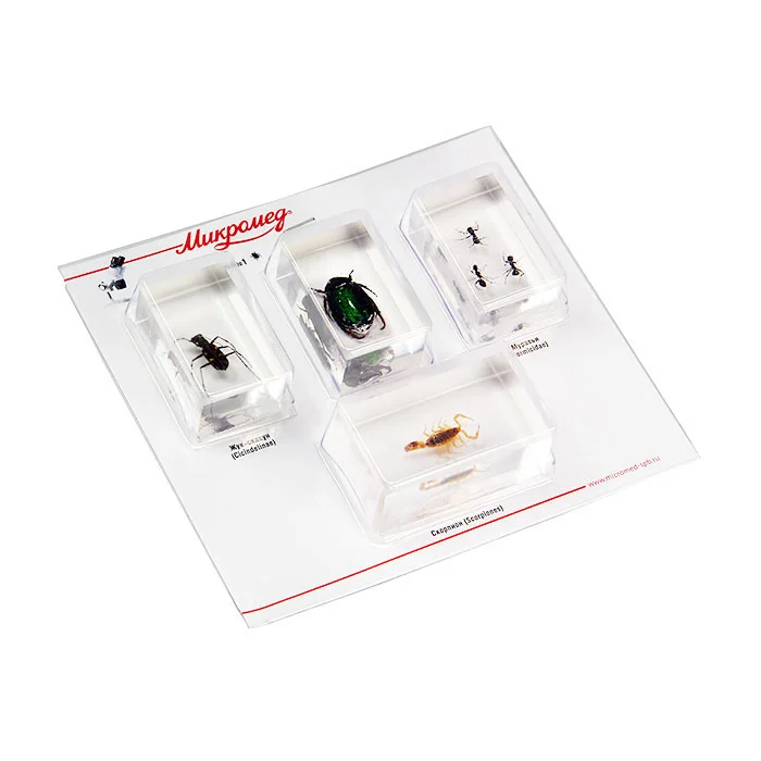 Набор насекомых в акриле Микромед №1
