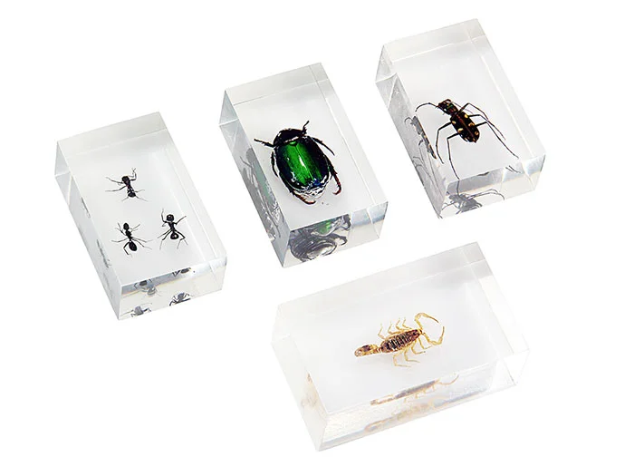 Набор насекомых в акриле Микромед №1