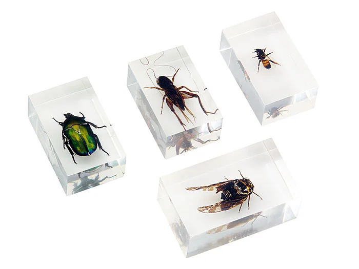 Набор насекомых в акриле Микромед №2