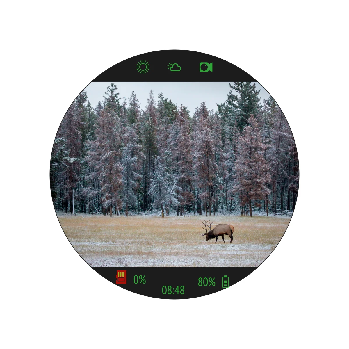 Прицел цифровой Veber DigitalHunt R25X4-32 ночной