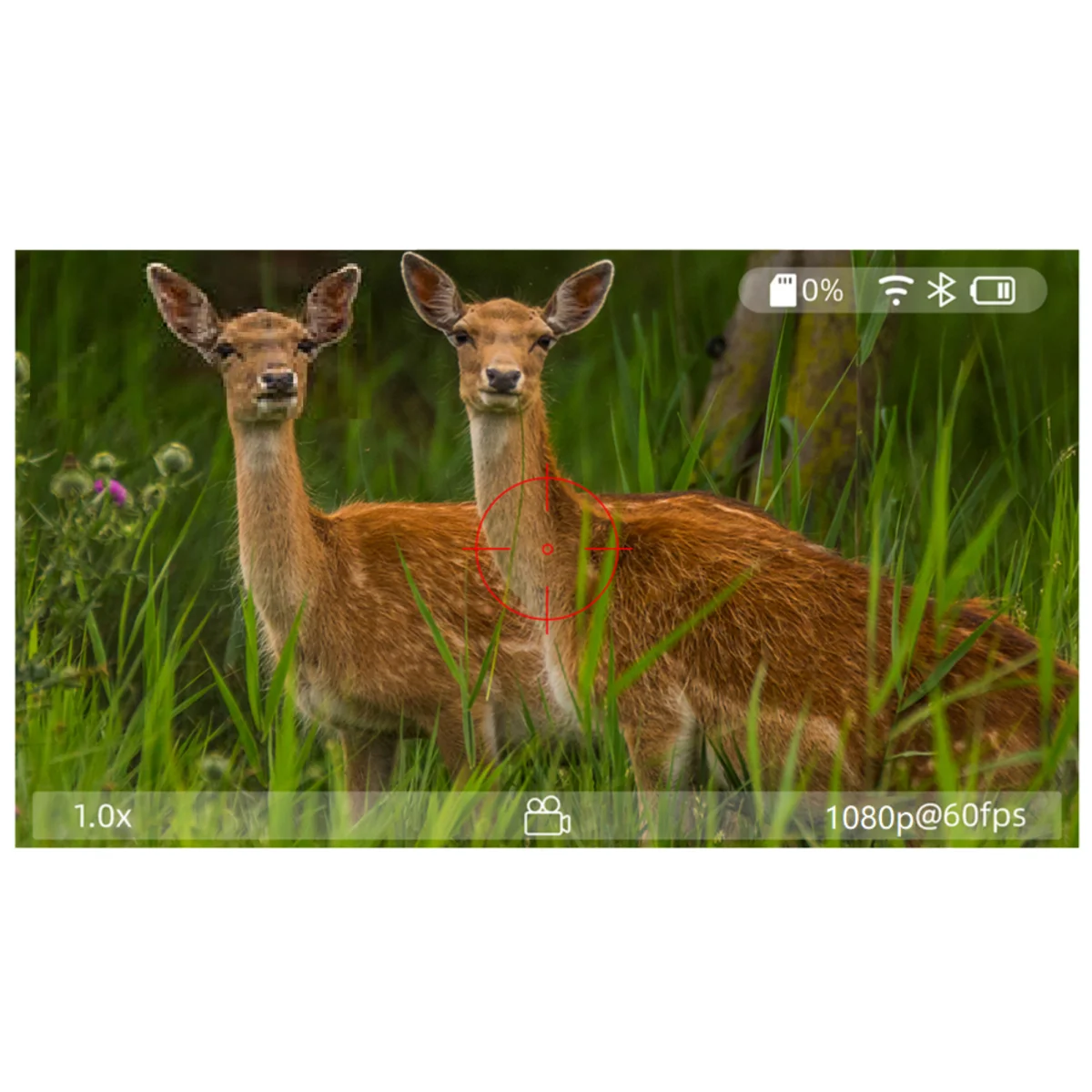 Прицел цифровой Veber DigitalHunt R44X6-48 ночной