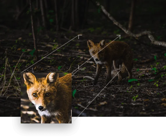 Тепловизионная инфракрасная камера Dali S240