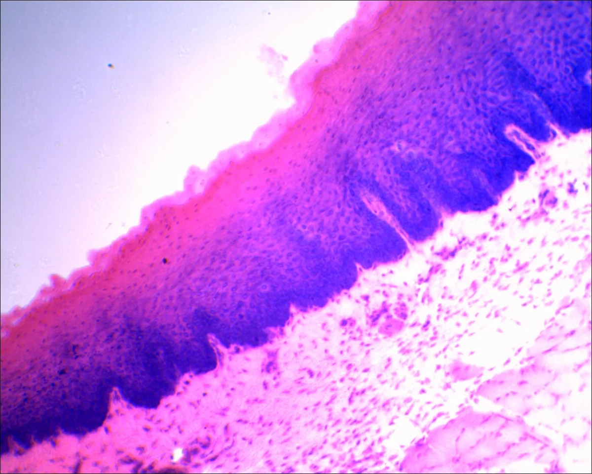 Видеоокуляр DCM-130E SCOPE